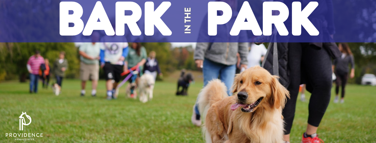 Bark in the Park 2024