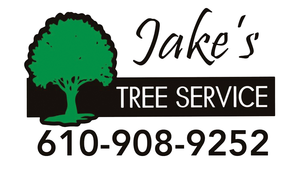 jakes tree.png